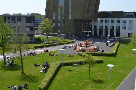 Zernike campus in summer | Groningen