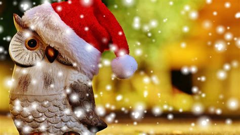 Christmas owl Wallpapers - Wallpaper Cave