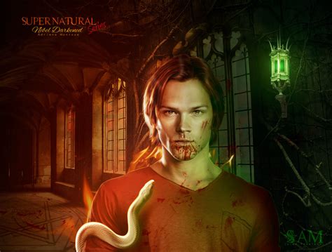 Supernatural Series - Sam by NebelDarkened on DeviantArt