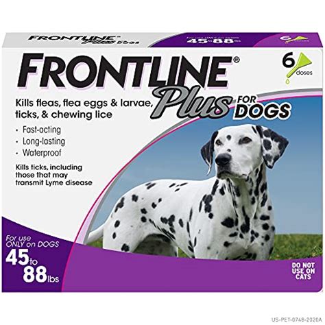 Top 5 Best Flea Medicine for Dogs | Updated for 2021