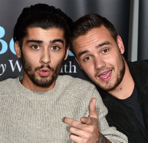 Zayn Malik, Liam Payne Friendship: One Direction Alums Now | J-14