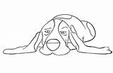 Sleepy Basset Hound coloring Page  hound Art sketch template