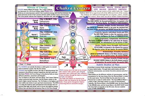 Chakra Centers Chart Detailed Poster New Age Health Mind and Body ...