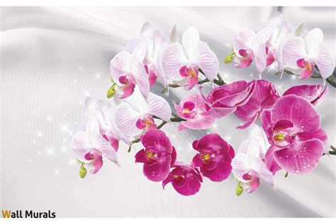 Pink Orchid Wallpapers - Wallpaper Cave