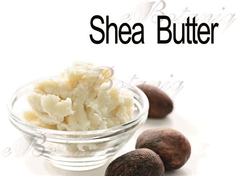 Shea Butter - eBotaniq.au