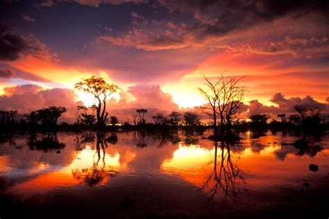 Travel all the world: Etosha National Park - Namibia