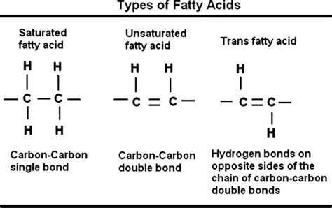 Trans Fat Explained and How to Avoid It – Dainty Kitty