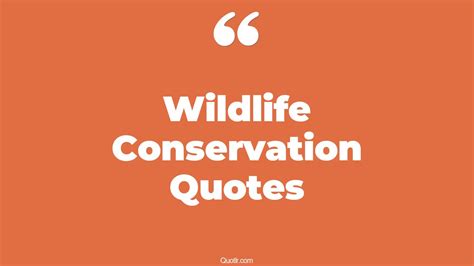 32+ Sentimental Wildlife Conservation Quotes That Will Unlock Your True Potential