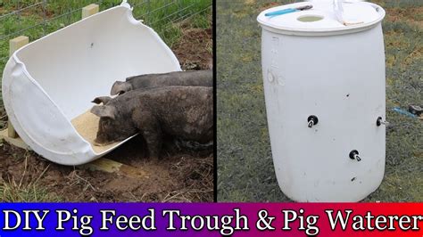 Homemade Pig Feeder - My Bios