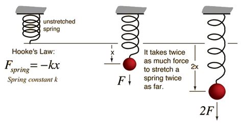 The complete introduction to React spring