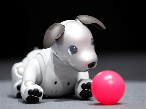 Sony Aibo: Robot dog can 'love' you and 'keep records of everything' it ...