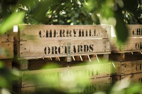 Our Orchards – Cherryhill Orchards