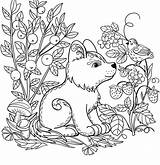 Forest Coloring Pages For Kids At GetDrawings  Free Download sketch template