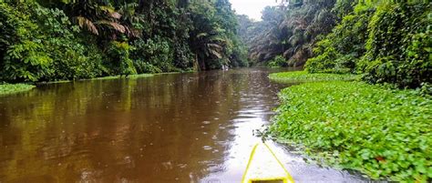 Ride the Tortuguero Canals!