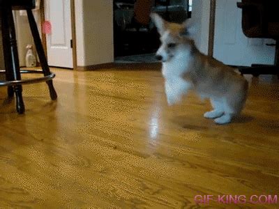 Excited GIF - Find & Share on GIPHY