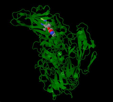 Rhinovirus - Quip Labs