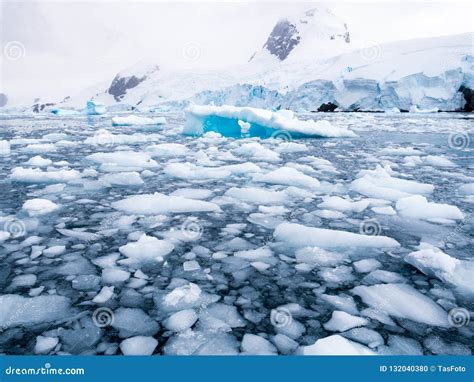 Floating Ice Floes, Drift Ice in Cierva Cove in Hughes Bay, Graham Land, Antarctica Stock Photo ...