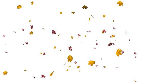 download falling leaves png images - flying autumn leaf png [FREE]