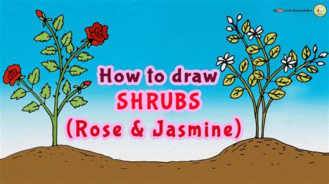 how to draw shrubs with pencil - shapovmusic.com