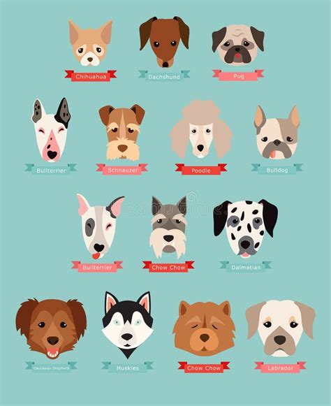 Dog Images With Name - They can reflect your style or interests, or their breed or personality ...