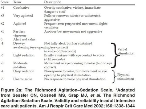 The Richmond Agitation–Sedation Scale. *Adapted from Sessler CN,... | Download Scientific Diagram