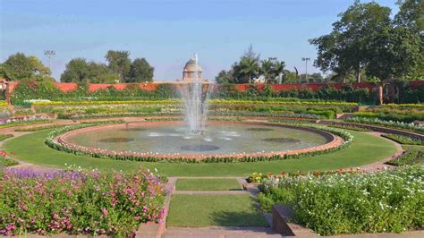 Mughal Gardens of Rashtrapati Bhavan open for public from Tuesday. Here is why it is special ...