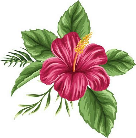 Pin by Emtiyaz Ansari on Design | Hibiscus flower drawing, Flower ...