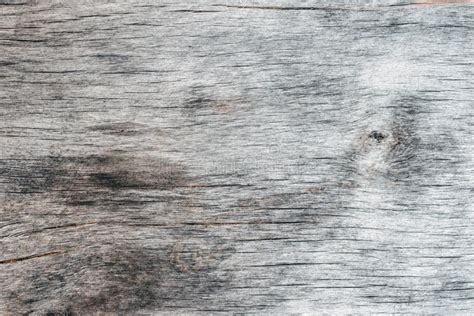 Weathered Wood Gray Rustic Background. Close-up. Copy Space Stock Image - Image of copy, wooden ...