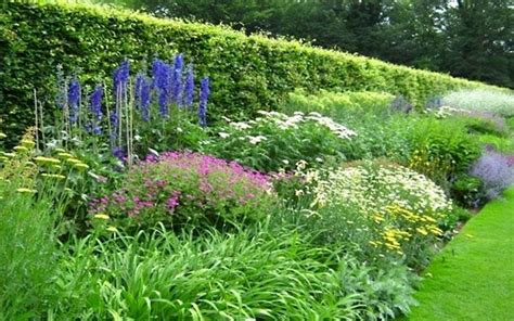 Border Gardening: How to plant a herbaceous perennial border | Border plants, Garden borders, Plants