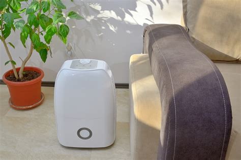 What are the Differences Between Dehumidifier and Humidifier?