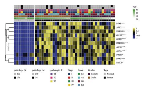 Purine metabolism gene. (a) Expression levels of purine... | Download ...