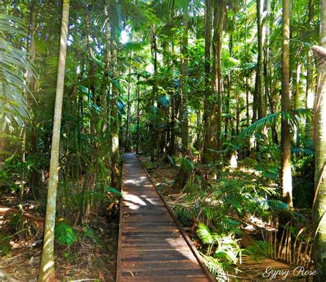 Cairns Botanic Gardens - Cairns