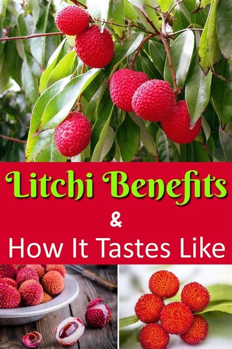 Lychee Fruit Benefits & How to Consume It | Lychee benefits, Lychee ...