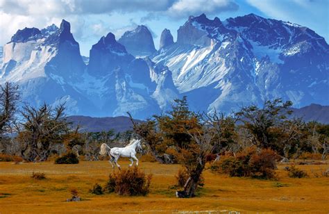 Chasing Unicorn | Chile travel, Adventure tourism, Torres del paine national park