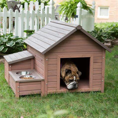 34 Doggone Good Backyard Dog House Ideas