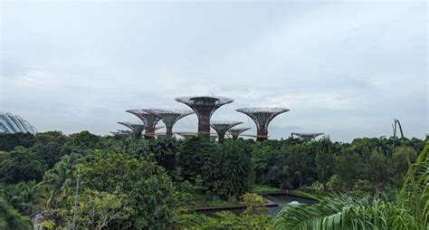 What is so special about Gardens by the Bay? Is Gardens by the Bay worth visiting? - Jetsanza.com