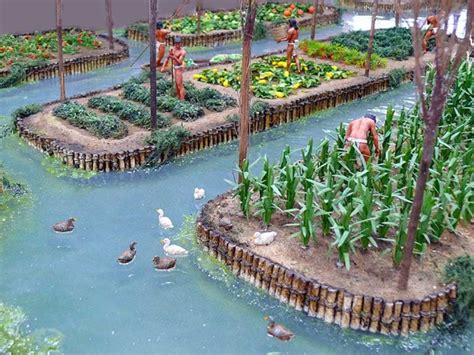 Chinampas: Artificial Islands Created By The Aztecs To Improve ...