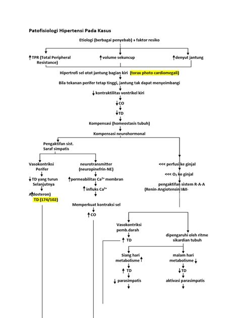 Patofisiologi Hipertensi | PDF