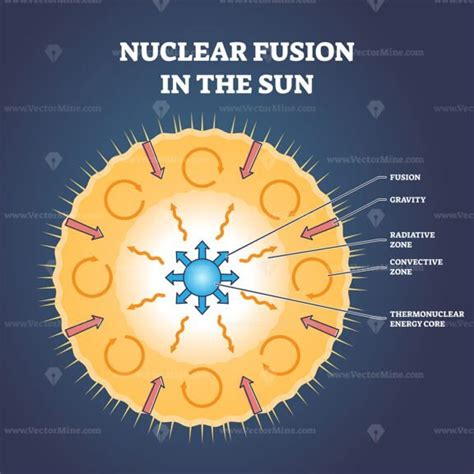 Nuclear fusion in the sun and star structure with zones outline diagram - VectorMine