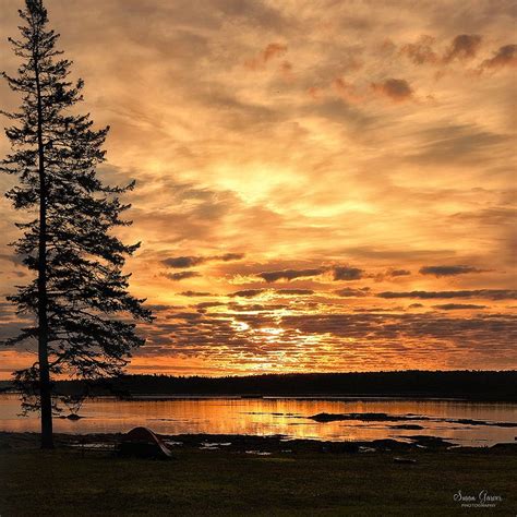 Golden Sunrise Bar Harbor, Maine | Sunrise photography, Sunrise, Sunrise sunset