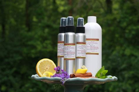 Bug off Insect Spray 16 Oz Refill 100% All Natural - Etsy