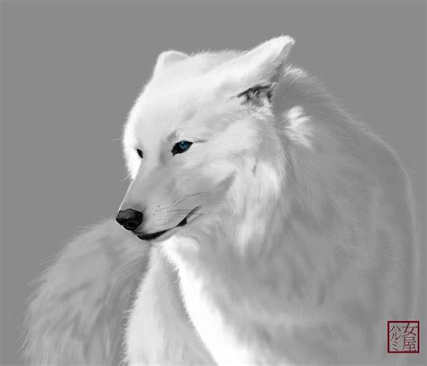 white wolf - Google Search | White wolf, Wolf with blue eyes, Wolf life