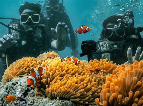 Scuba Diving in Neil Island Cost and Details - Experience Andamans