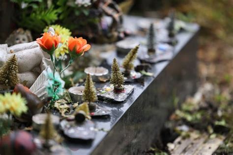 Man so touched by miscarriage of justice he visits stranger's grave every week - Wales Online