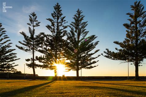 Coogee Beach Walk | Coogee Pine Sunrise - Gotthewanderingeye