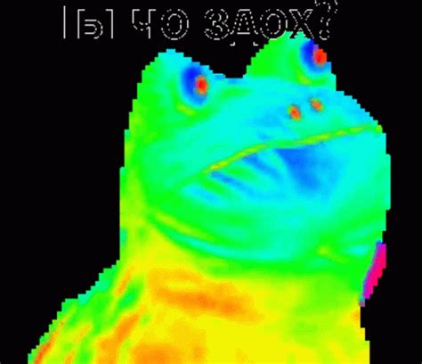 Get Out Frog Gif Rainbow