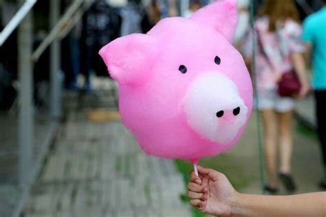 Piggie Cotton Candy | Candy floss, Cotton candy, Candy art