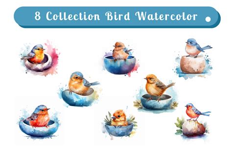 watercolor cute bird collection vol. 1 | Deeezy