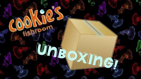 Episode 60: Unboxing! - YouTube