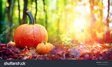 263,920 Fall Leaves Pumpkins Images, Stock Photos & Vectors | Shutterstock